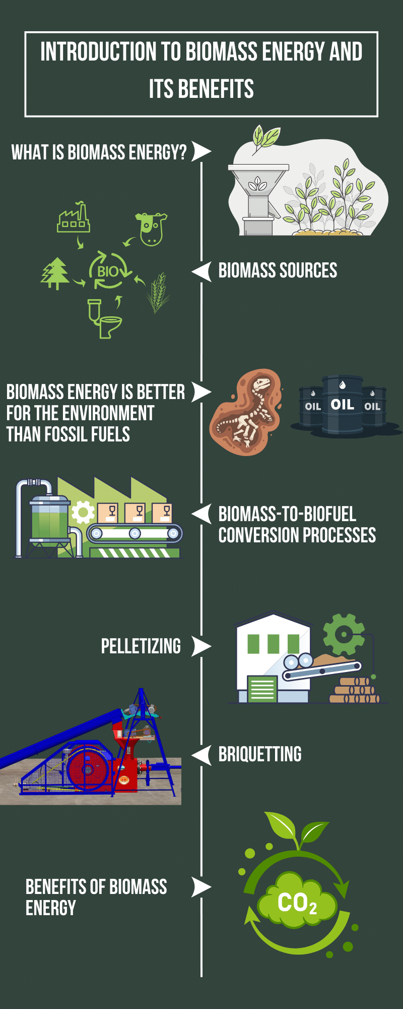 Environmental Biomass Energy Advantages Disadvantages