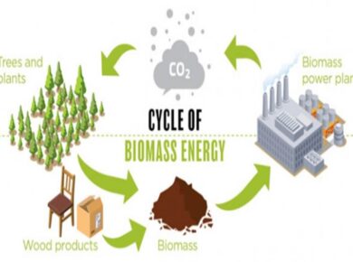 biomass benefits
