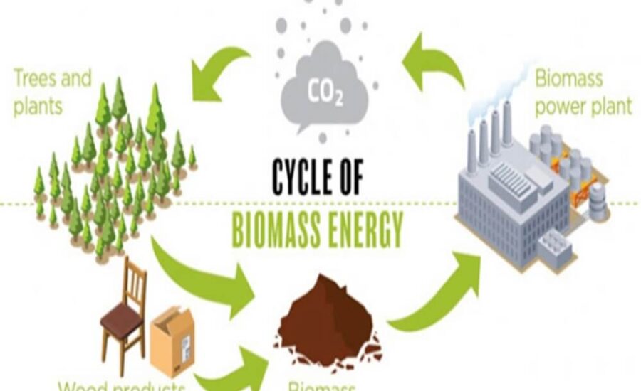 biomass benefits